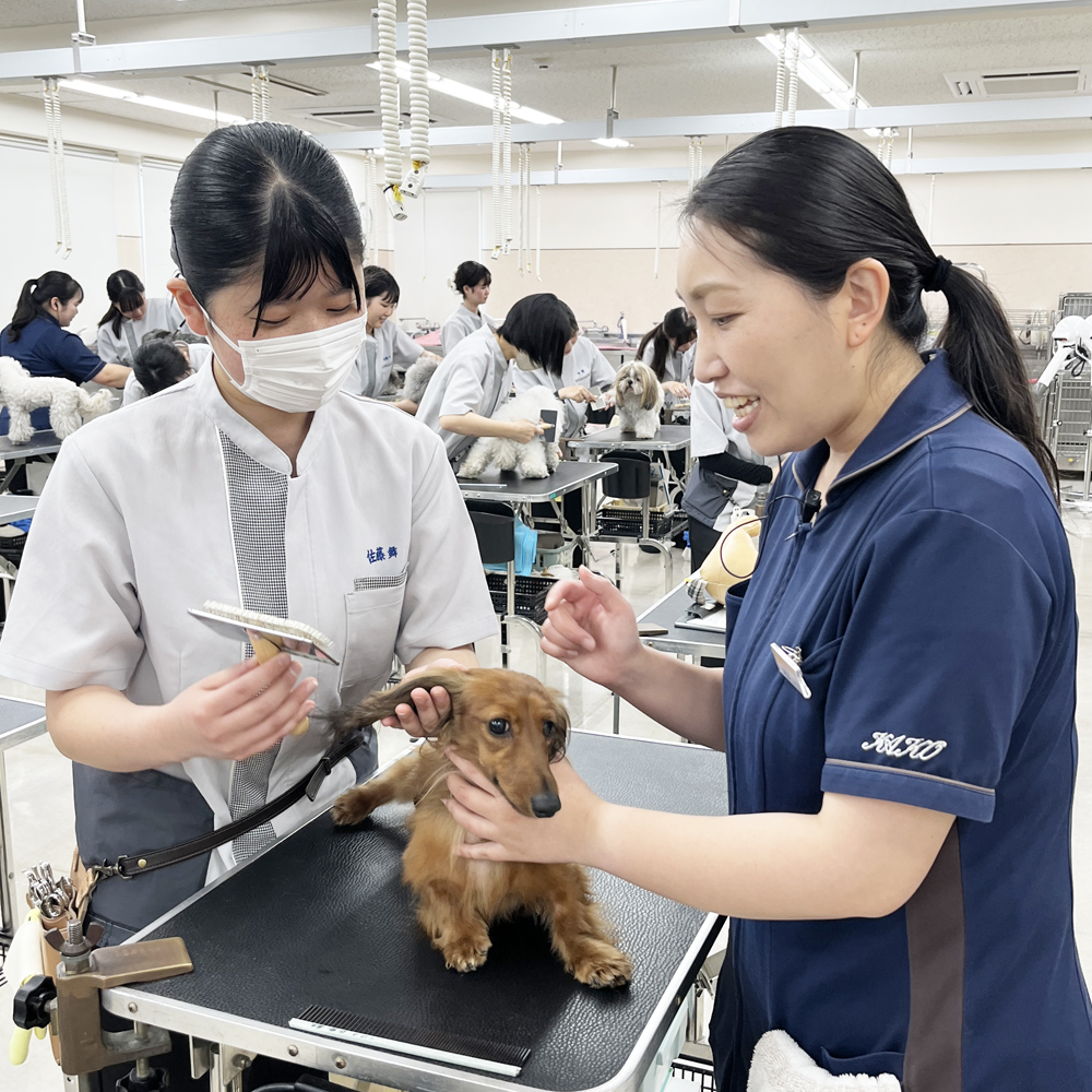 １年生のトリミング実習！